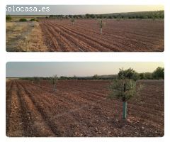 Parcela en Venta en Villafranca de los Caballeros, Toledo