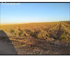 Parcela en Venta en Villafranca de los Caballeros, Toledo