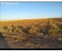 Parcela en Venta en Villafranca de los Caballeros, Toledo