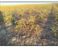Parcela en Venta en Villafranca de los Caballeros, Toledo