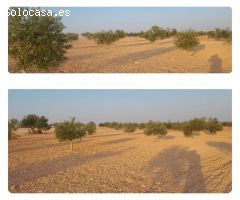 Parcela en Venta en Villafranca de los Caballeros, Toledo