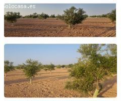 Parcela en Venta en Villafranca de los Caballeros, Toledo