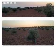 Parcela en Venta en Villafranca de los Caballeros, Toledo