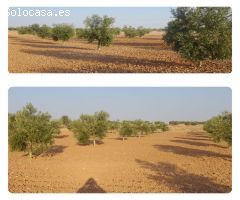 Parcela en Venta en Villafranca de los Caballeros, Toledo