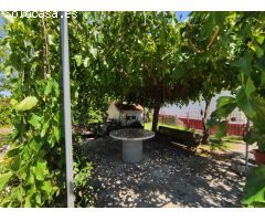 Chalet en Venta en Viso de San Juan, El, Toledo