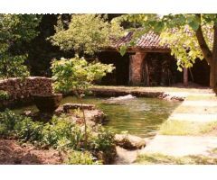 MOLINO VIVIENDA