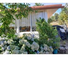 Casa independiente en Arbo