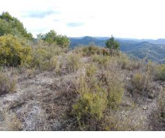 TERRENO EN VENTA EN RIVER PARK (EL PONT DE VILOMARA I ROCAFORT)