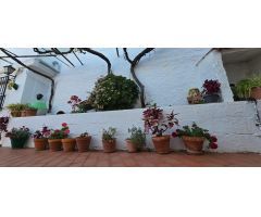 Magnifico conjunto hotelero en funcionamiento