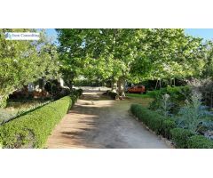 Estupendo Chalet en parcela urbana. Aguasol