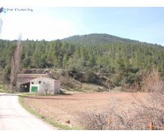 FINCA EN PATERNA DEL MADERA - BOGARRA