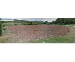 FINCA EN PATERNA DEL MADERA - BOGARRA
