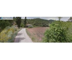 FINCA EN PATERNA DEL MADERA - BOGARRA