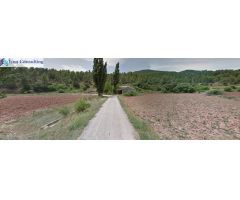 FINCA EN PATERNA DEL MADERA - BOGARRA