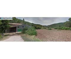 FINCA EN PATERNA DEL MADERA - BOGARRA