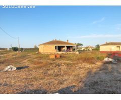 DOS FINCAS RUSTICAS EN DOLORES - ALICANTE