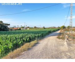 FINCA RÚSTICA EN DOLORES - ALICANTE