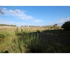 FINCA EN ELCHE - ALICANTE
