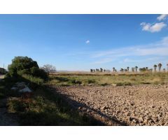 FINCA EN ELCHE - ALICANTE