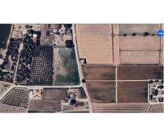 PARCELA RUSTICA EN CATRAL - ALICANTE