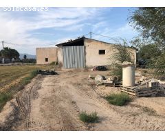 FINCA RUSTICA EN CATRAL – ALICANTE