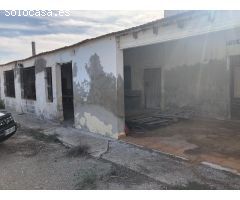 FINCA RUSTICA EN CATRAL – ALICANTE