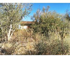 Finca rustica con casa de aperos