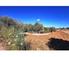 Finca rustica con casa de aperos