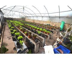 FINCA AGRÍCOLA RÚSTICA EN ES MIGJORN GRAN