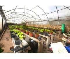 FINCA AGRÍCOLA RÚSTICA EN ES MIGJORN GRAN
