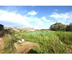 FINCA AGRÍCOLA RÚSTICA EN ES MIGJORN GRAN