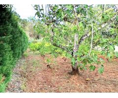 Chalet en Venta en Mont-ras, Girona