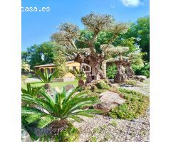 Casa de campo en Venta en Sils, Girona