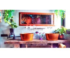 Chalet en Venta en Viladecavalls, Tarragona