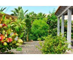 Villa de Lujo en Venta en Lajares, Las Palmas