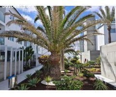 Apartamento en Venta en Corralejo, Las Palmas