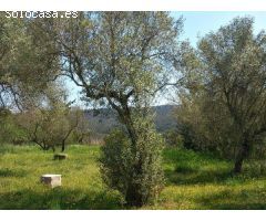 Finca rustica en Venta en Llagostera, Girona