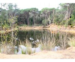 Finca rustica en Venta en Llagostera, Girona