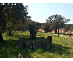 Finca rustica en Venta en Llagostera, Girona