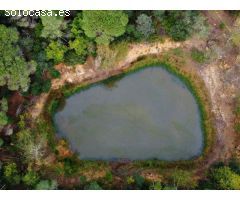 Finca rustica en Venta en Llagostera, Girona