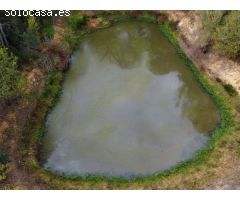Finca rustica en Venta en Llagostera, Girona