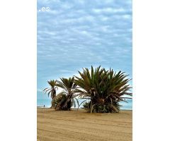 Dúplex en Venta en Cartagena, Murcia