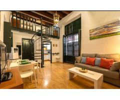 APARTAMENTO DUPLEX CON ECANTO