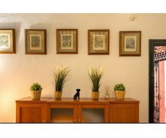 APARTAMENTO DUPLEX CON ECANTO