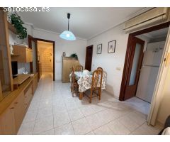 APARTAMENTO DE 1 DORMITORIO CON PISCINA COMUNITARIA Y TERRAZA EN TORREVIEJA