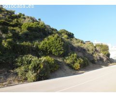 Parcela en zona del Faro de Algeciras, zona urbana y desarrollada, junto a parque natural