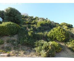 Parcela en zona del Faro de Algeciras, zona urbana y desarrollada, junto a parque natural