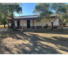 Espectacular finca de 76.329 m2 en Loma Maina, Alcalá de los Gazules