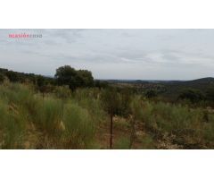 VENTA DE FINCA CINEGETICA