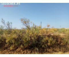 SE VENDE PARCELA CERCANA A POZOBLANCO